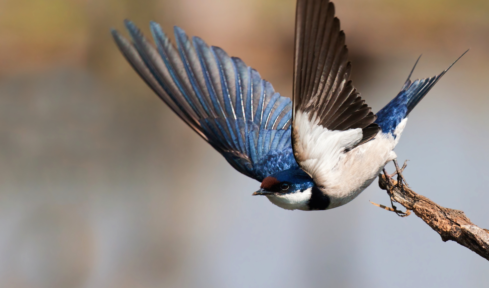 Efficient Effective Responsive